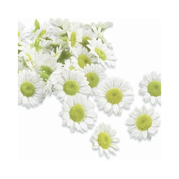 Mini marguerites, Ø 15-20mm, 30 pces