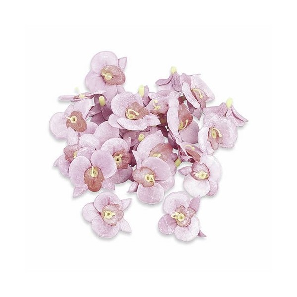 Mini orchids Ø 20mm, 26 pcs