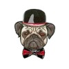 Iron-on motif Dog with derby hat