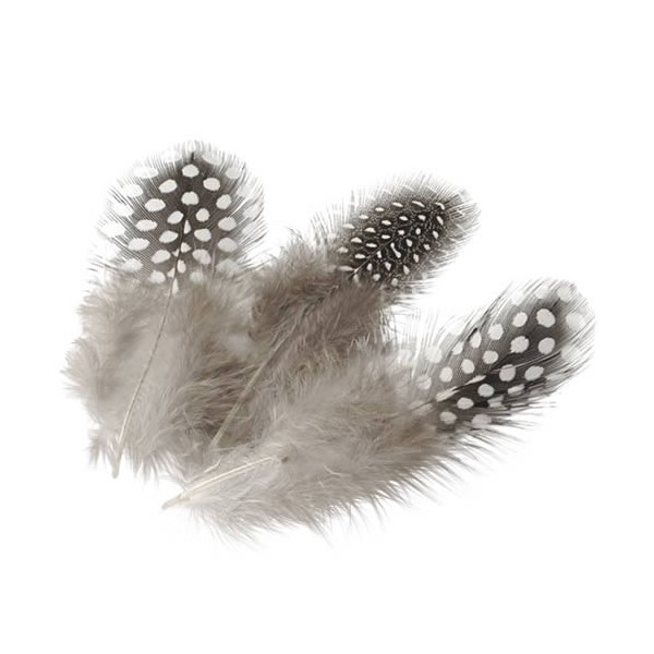 Plumas gris y puntos, 5cm 20 pz