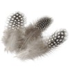 Plumas gris y puntos, 5cm 20 pz