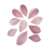 Plumes coupées, 5-6cm, vieux rose, 36pcs