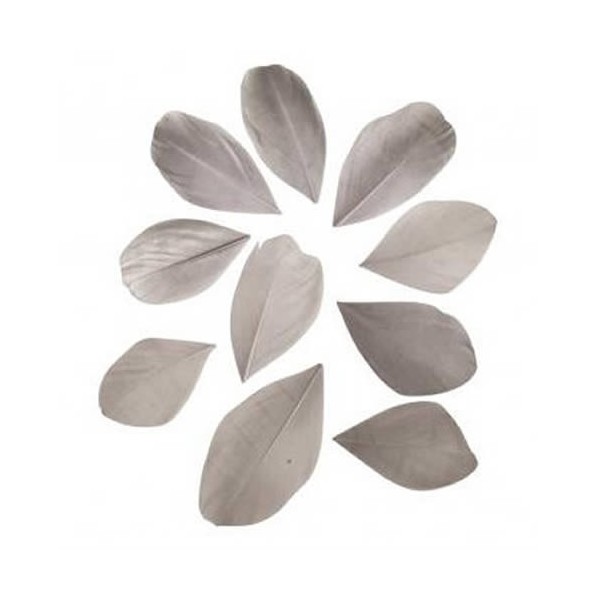 Plumes coupées, 5-6cm, gris clair, 36pcs