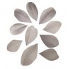 Plumes coupées, 5-6cm, gris clair, 36pcs