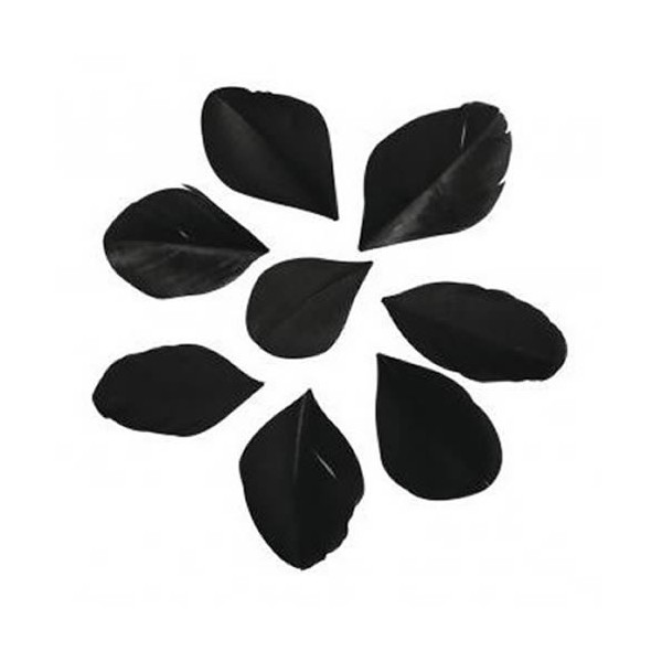 Plumas cortadas, negro, 5-6cm, 36 pz