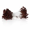 Pistilos, marron, 5mm, +/- 75 pz