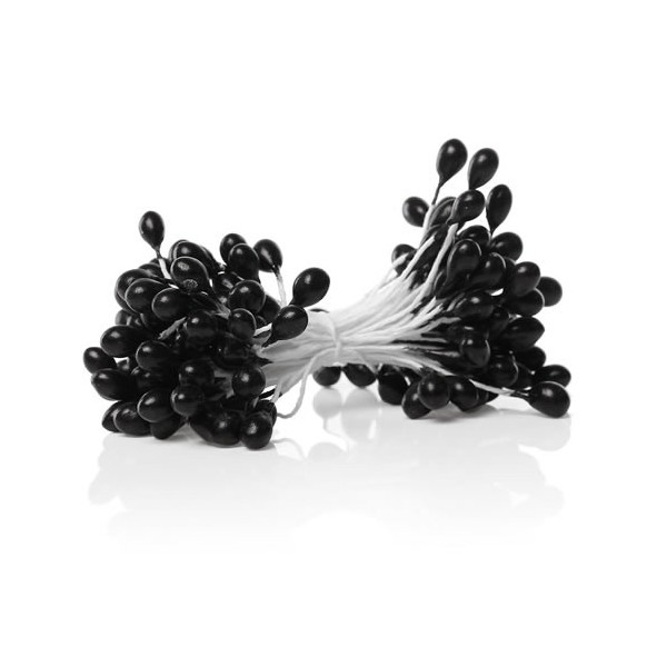 Blütenstempel schwarz, 5mm, +/- 75 Köpfe