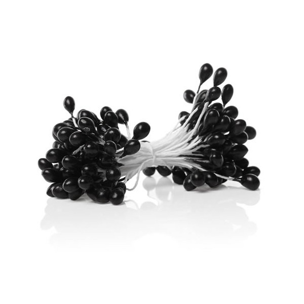 Pistils, 5mm, black, +/- 75 heads