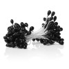 Pistils, 5mm, black, +/- 75 heads