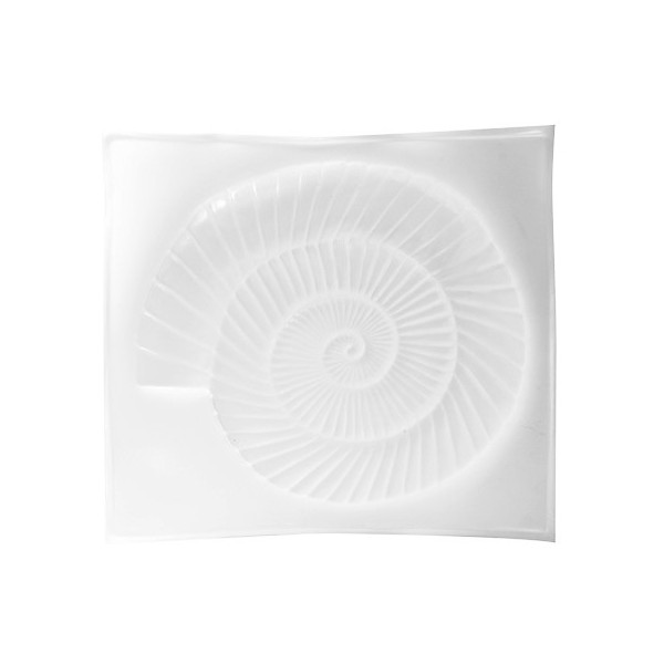 Mould sea shell / ammonite 34x38cm