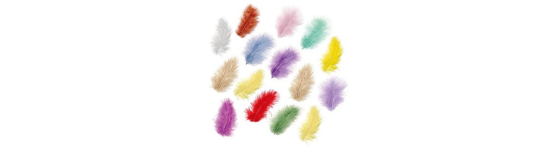 Feathers