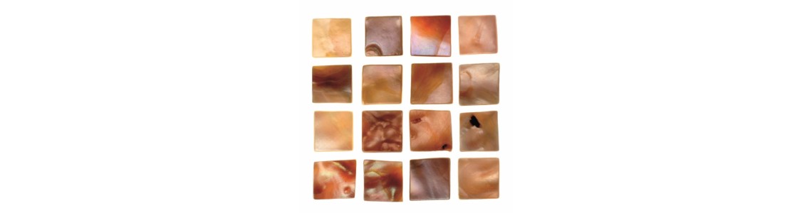 Mother-of-pearls tiles