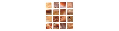 Mother-of-pearls tiles