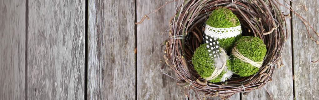 Dress your eggs in natural moss